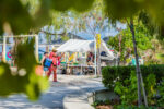 Beach vendors given extra time to bring legal challenge