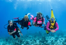 More than 80 divers make a splash for Women’s Dive Day