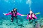Women’s Dive Day to help raise funds for Breast Cancer Foundation