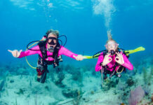Women’s Dive Day to help raise funds for Breast Cancer Foundation