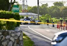 Police seek information on Shamrock Road fatal crash