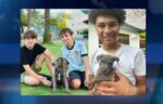 Abandoned puppies get forever homes