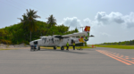 Cayman Airways Twin Otter suffers bird strike