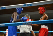 Cayman enters new chapter with World Boxing