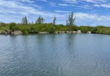 Cabinet grants MP’s family licence to dredge North Sound marine park This image shows where mangroves and seagrass in the North Sound will be removed to make way for The Isles at Newlands marine channel. - Photo: Department of Environment
