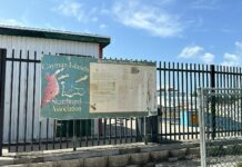 Skate park’s closure leaves void for supporting at-risk youth