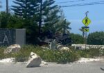 One hospitalised in South Sound collision Police have closed off South Sound Road following a single vehicle collision Tuesday afternoon. - Photo: Supplied