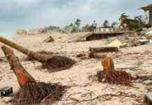 Documenting Ivan’s destruction: The camera in the eye of the storm
