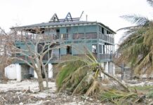 Remembering Ivan: Heritage hit by storm