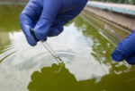 Majority of private sewerage systems below par
