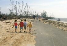 Remembering Ivan: Survival stories