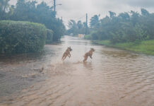Cayman confronts floods from Helene, as tropical storm warning lifted