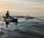Conquering jellyfish and sharks: Historic swim around Little Cayman highlights urgency of climate change