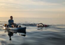 Conquering jellyfish and sharks: Historic swim around Little Cayman highlights urgency of climate change