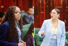 Budding lawmakers get taste of regional politics