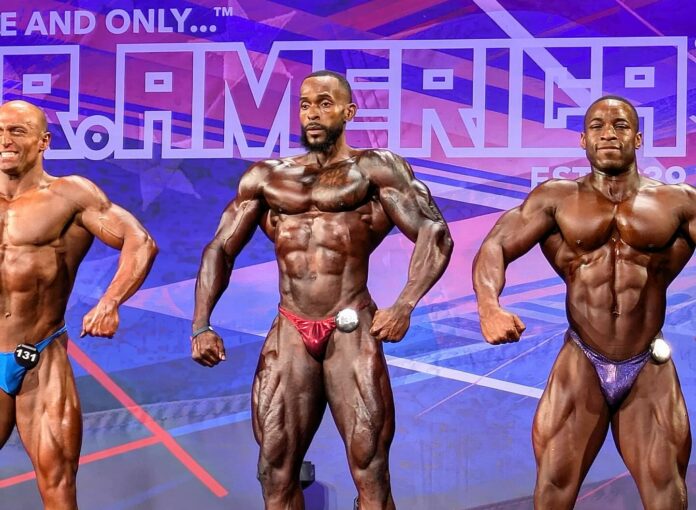 bodybuilder