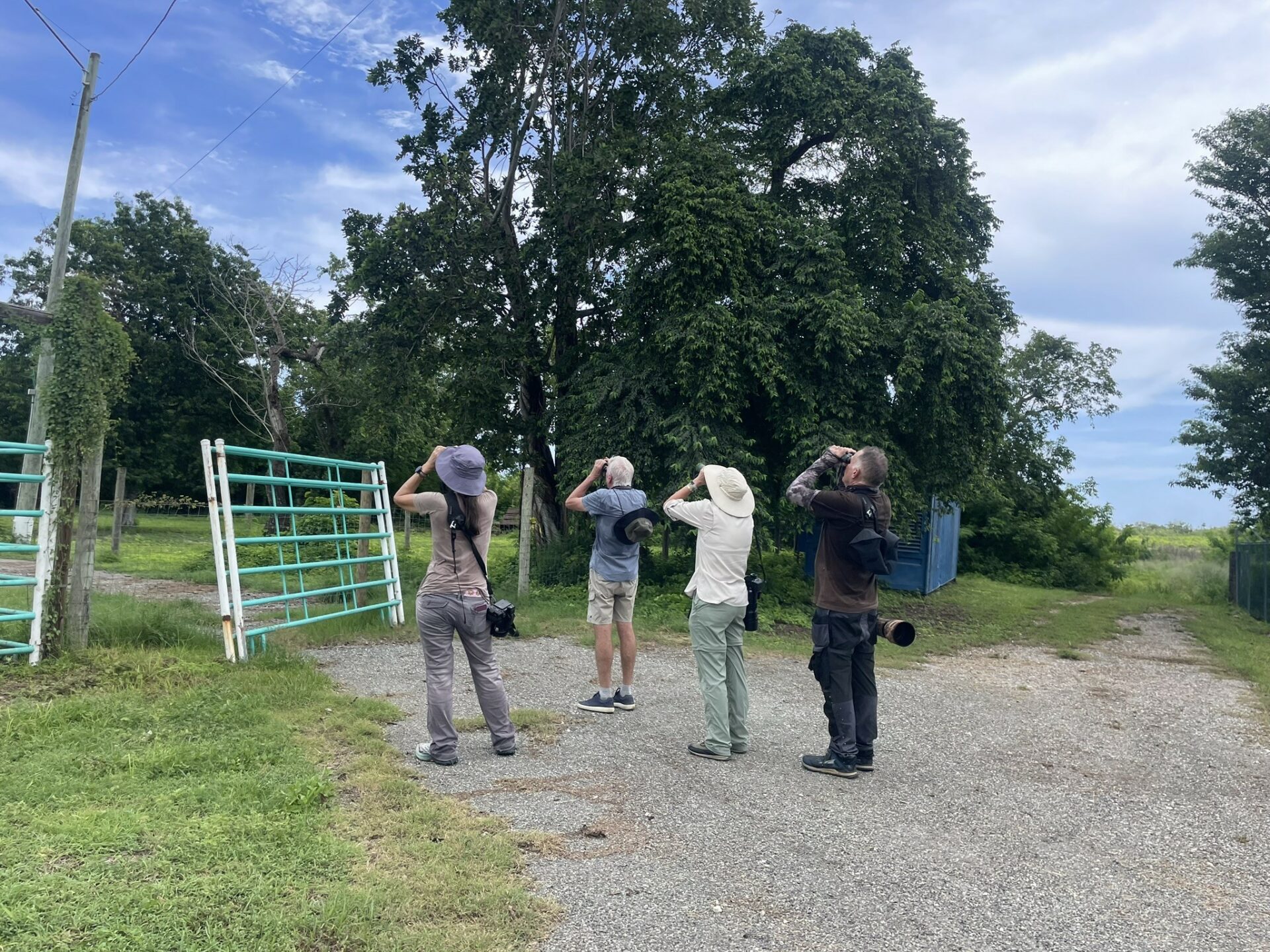 Birdwatchers at the Agricultural Grounds