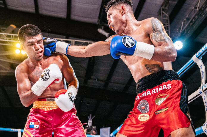 Boxing boxers