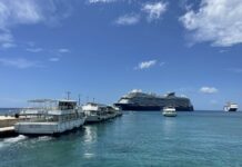 ACT bid to torpedo cruise ship ‘myths and misinformation’ tender boats and two cruise ships