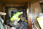 Regiment trains for earthquake rescues Regiment