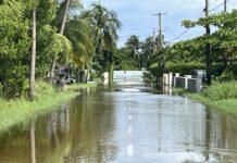 Hectic hurricane season makes Grand Cayman the wettest since 2005 wet season