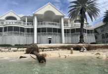 Work to clear debris along storm-battered Seven Mile approved Fallen trees and debris from erosion-impacted beachfronts can begin to be removed. - Photo: James Whittaker