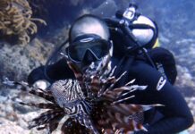CULL lionfish tournament next month
