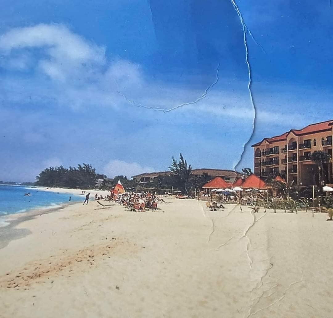 Calls for 'managed retreat' as erosion impacts coastal property