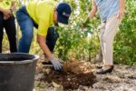 Cayman National donates 50 trees to Malportas Pond Bird Sanctuary