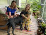 Volunteers help with food and pets ahead of storm Claire McFadden and Louisa Curry are volunteers who are looking after rescue dog Seven during the storm. - Photo: Sarah Bridge