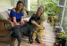 Volunteers help with food and pets ahead of storm Claire McFadden and Louisa Curry are volunteers who are looking after rescue dog Seven during the storm. - Photo: Sarah Bridge