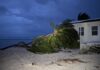 In photos: Rafael whips through Sister Islands A downed tree is seen by a beach house in Little Cayman after Hurricane Rafael in November.