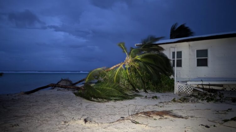 A downed tree is seen by a beach house in Little Cayman after Hurricane Rafael in November.