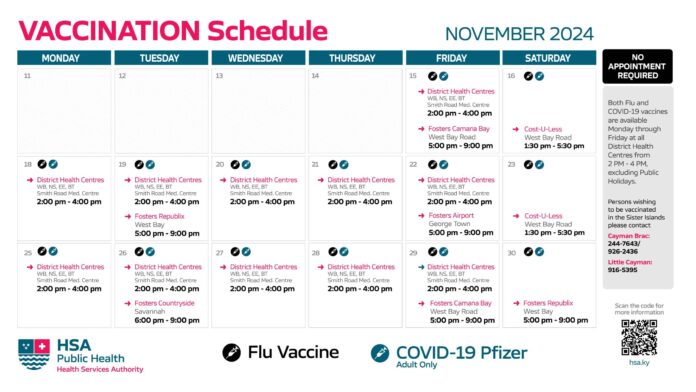 Flu Vaccine Schedule November 2024