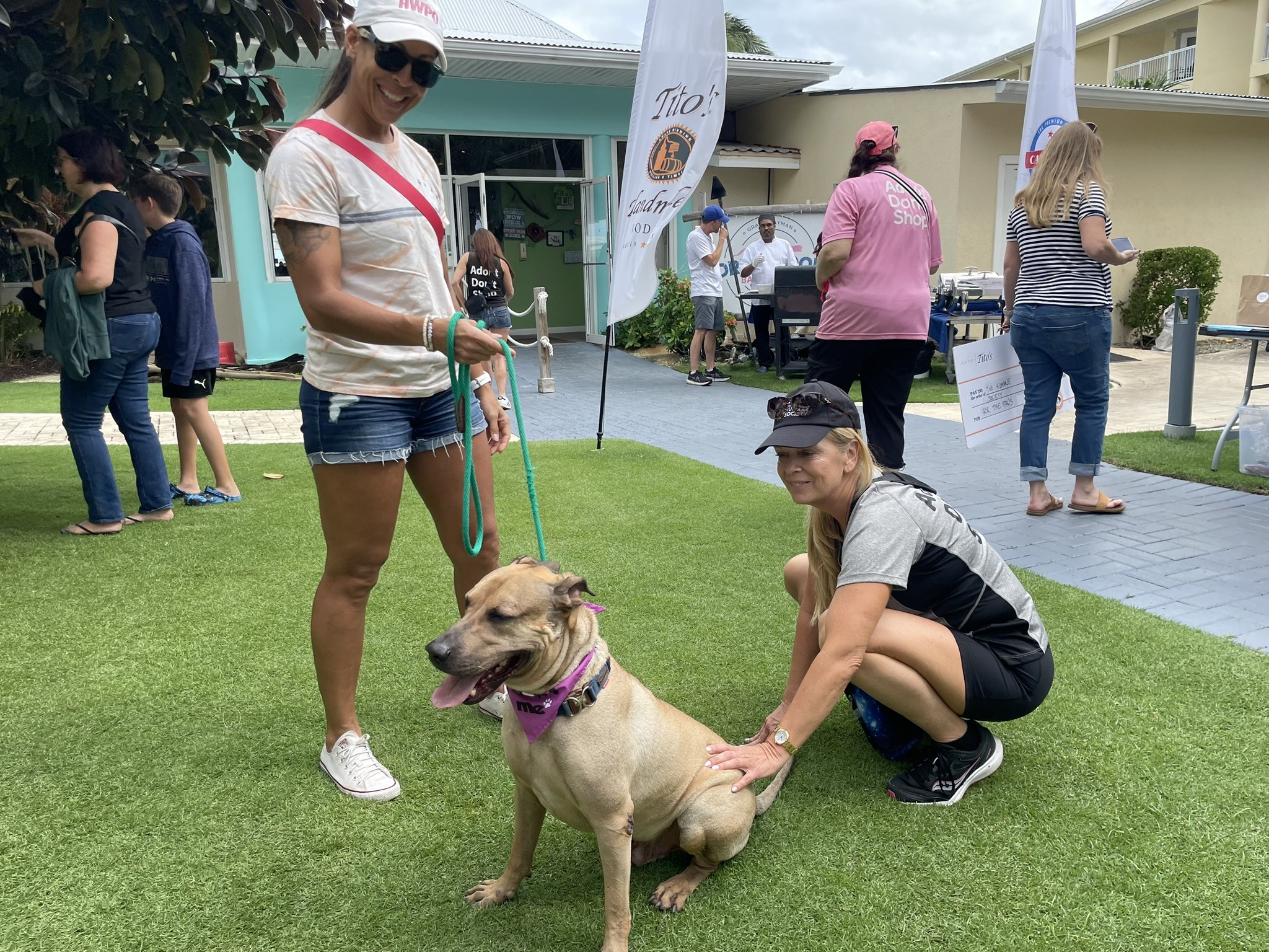 Rescue dog Kite with Humane Society volunteers Louane Silver and Karyn Duffy