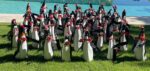 Penguins and reindeer to make appearance at Botanic Park for Christmas Botanic Park