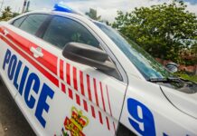 Attempted robbery reported on Shamrock Road