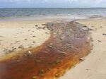 Concerns raised as brown water drains into marine park