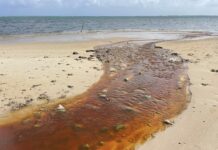 Concerns raised as brown water drains into marine park
