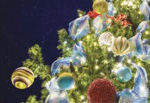 Christmas Wishes: A magical holiday season in Cayman
