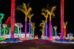 Cayman all a-twinkle with Christmas lights Christmas lights
