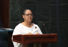 Premier pushes contentious bills onto parliamentary agenda
