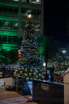 Rotary Club of Grand Cayman brings spirit of Christmas to Heroes Square The tree lights up during the '59th Annual Christmas Tree Lighting Ceremony', hosted by Rotary Club of Grand Cayman. - Photo: Taneos Ramsay