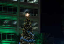 Rotary Club of Grand Cayman brings spirit of Christmas to Heroes Square The tree lights up during the '59th Annual Christmas Tree Lighting Ceremony', hosted by Rotary Club of Grand Cayman. - Photo: Taneos Ramsay