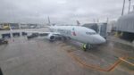 Cayman-bound flight returns to Miami due to burning smell in cabin American Airlines flight