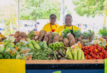 56th Annual Agriculture Show to promote food security