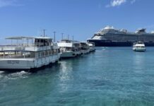 Voters to decide on cruise berthing, national lottery and cannabis decriminalisation