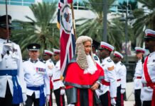 Electronic justice revolution planned for Cayman courts