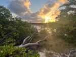 Conservation council shake-up sparks concern amid calls for ‘balance’