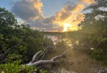 Conservation council shake-up sparks concern amid calls for ‘balance’